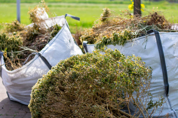 Best Shed Removal  in Rutledge, GA