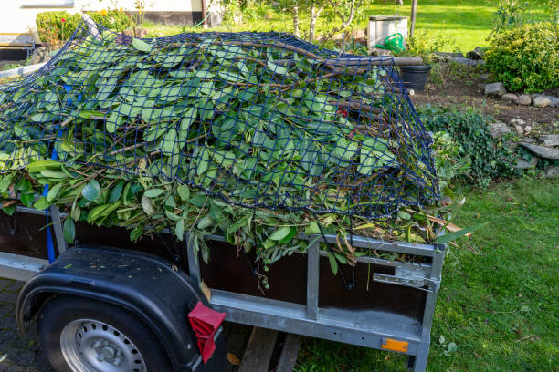 Best Dumpster Rental Services  in Rutledge, GA
